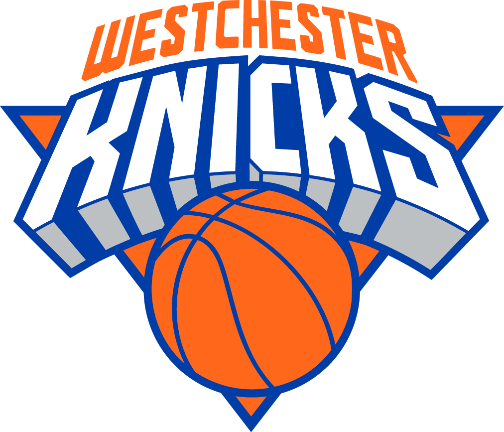 Westchester Knicks 2015-Pres Primary Logo iron on transfers for T-shirts